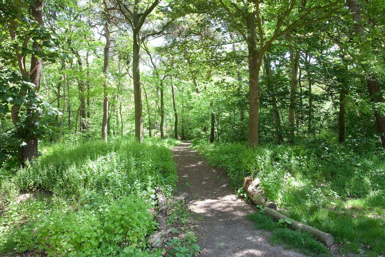 Betonnen Boshuis Oosterhout  Exteriör bild